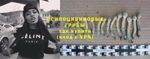 гидра Баксан