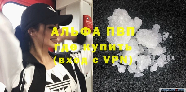 СК Балахна