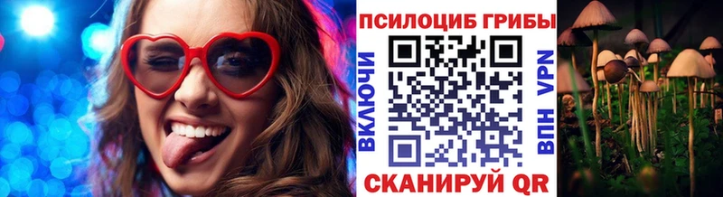 Купить закладки  Медвежьегорск  Псилоцибиновые грибы прущие грибы 